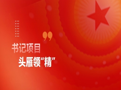 头雁领“精”丨“书记项目”赋能化机浆产能攻坚